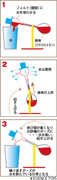 「平和鳥」の育て方