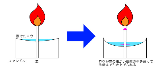 毛細管現象